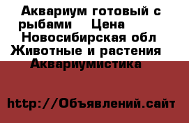 Аквариум готовый с рыбами. › Цена ­ 600 - Новосибирская обл. Животные и растения » Аквариумистика   